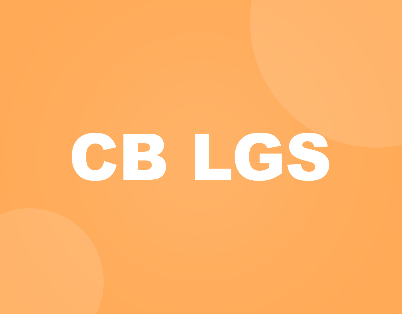 COMPANY BOARD LGS BATCH 3