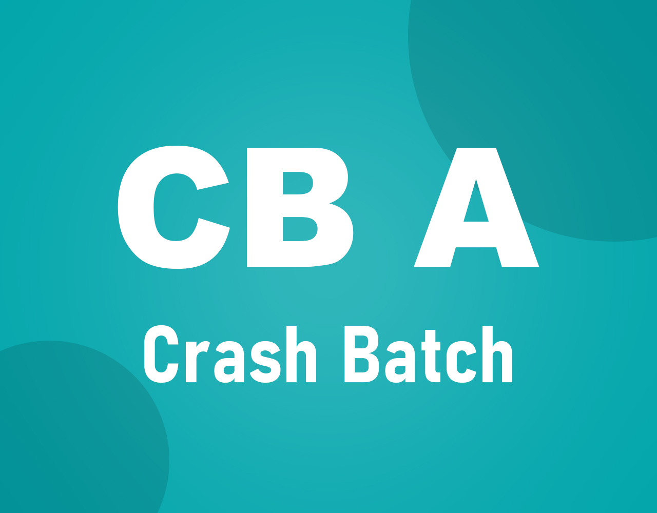 CB ASSISTANT CRASH BATCH